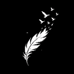 Feather Studios